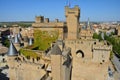 Olite Medieval Castle Navarra Spain