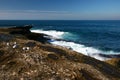 Idyllic and amazing seaside landscape of rocky coast, resting gulls and white rushing ocean waves in Clovelly, Sydney, Australia