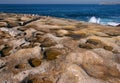 Idyllic and amazing seaside landscape of jagged coast with rocks, water puddles and birds in Clovelly, Sydney, Australia Royalty Free Stock Photo