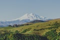 Picturesque beautiful view of Elbrus, green fields and beautiful natural nature of the Caucasian mountains, the concept of travel