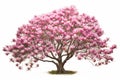 Picturesque Bloomy magnolia tree. Generate Ai Royalty Free Stock Photo