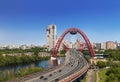 Picturesque bridge over the Moscow river on a sunny day, top view. Moscow