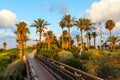 Picturesque bridge Royalty Free Stock Photo