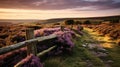 Picturesque British Landscape With Purple Flowers And Stone Fence