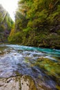 Picturesque bubbling rapids and rifts