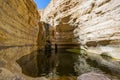 Picturesque canyon Ein-Avdat in desert Negev in Israel