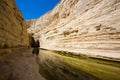 Picturesque canyon Ein-Avdat in desert Negev in Israel