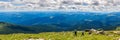 Picturesque Carpathian mountains landscape in summer, wide angle panoramic view, Ukraine. Royalty Free Stock Photo