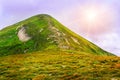 Picturesque Carpathian mountains landscape, view of mount Hoverla, Ukraine.