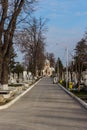 an empty cemetery lined with old headstones and trees on a sunny day Royalty Free Stock Photo