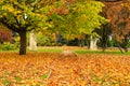 Picturesque cityscape of autumn street with trees covered with yellow leaves. Beautiful Embankment in fall foliage, city Dnipro Royalty Free Stock Photo