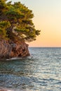 Picturesque Cliffs with pine trees at Sunset