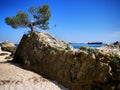 Picturesque coastal scene within rocky beach cove.