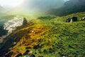 Picturesque Colorful Mountain Valley During Sunset. Elbrus, North Caucasus, Russia