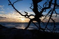 Picturesque colorful sunset over the Baltic Sea with glowing clouds small waves and sillouette of a fallen tree.