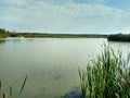 The swamp in the center of Ukraine