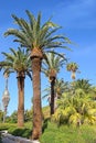 Picturesque corner in the Park Ramat Hanadiv, Israel Royalty Free Stock Photo