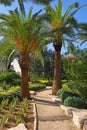 Picturesque corner in the Park Ramat Hanadiv, Israel Royalty Free Stock Photo