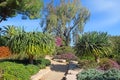 Picturesque corner in the Park Ramat Hanadiv, Israel Royalty Free Stock Photo