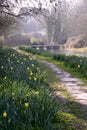 Picturesque Cotswolds - spring flowers in Eastleach Royalty Free Stock Photo