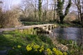 Picturesque Cotswolds - spring flowers in Eastleach Royalty Free Stock Photo