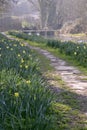 Picturesque Cotswolds - spring flowers in Eastleach Royalty Free Stock Photo