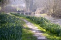 Picturesque Cotswolds - spring flowers in Eastleach Royalty Free Stock Photo
