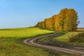 Picturesque country road along field of flowering rapeseed Royalty Free Stock Photo
