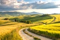 Picturesque countryside with rolling hills wheat fields and winding path Royalty Free Stock Photo