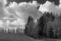 Picturesque Cumulus clouds over a vast field bordered by copses in autumn attire, black and white image.