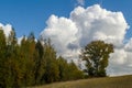 Picturesque Cumulus clouds over a vast field bordered by copses in autumn attire.