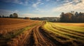 A picturesque dirt road winding through the farmland