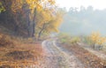 Picturesque dirty road along autumn trees in the fog Royalty Free Stock Photo