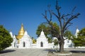 Picturesque dry tree in front of white stupas of Kuthodaw Pagoda contain worlds biggest book - 729 kyauksa gu
