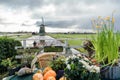 Picturesque Dutch landscape with a view of the mill through the canal with water Royalty Free Stock Photo