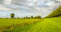 Picturesque Dutch rural landscape in the summer season Royalty Free Stock Photo