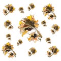 Picturesque Dutch-style sunflower in patterns and patterns for your packages, menus