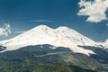 Picturesque Elbrus And Green Hills At Sunny Summer Day. Elbrus R