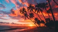 Palm trees on a beach