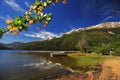 san martin de los andes, neuquen argentina-landscape with trees flowers and sky background with snowy argentina Royalty Free Stock Photo