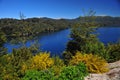 picturesque and exotic landscapes of lake and mountains with blue sky and yellow flowers in spring, san martin de los andes Royalty Free Stock Photo