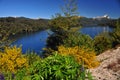 picturesque and exotic landscapes of lake and mountains with blue sky and yellow flowers in spring, san martin de los andes Royalty Free Stock Photo