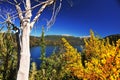 picturesque and exotic landscapes of lake and mountains with blue sky and yellow flowers in spring, san martin de los andes Royalty Free Stock Photo