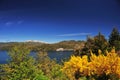 picturesque and exotic landscapes of lake and mountains with blue sky and yellow flowers in spring, san martin de los andes. Royalty Free Stock Photo