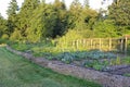 Picturesque farm garden bed