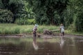 Picturesque farming paddy field scene in Thailand