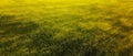 A picturesque field of sunflowers, aerial view. A farm field on a hot summer day, landscape Royalty Free Stock Photo