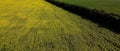 A picturesque field of sunflowers, aerial view. A farm field on a hot summer day, landscape Royalty Free Stock Photo