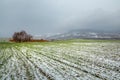 Picturesque fields in winter. First snow. Royalty Free Stock Photo
