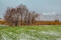 Picturesque fields in winter. First snow. Royalty Free Stock Photo